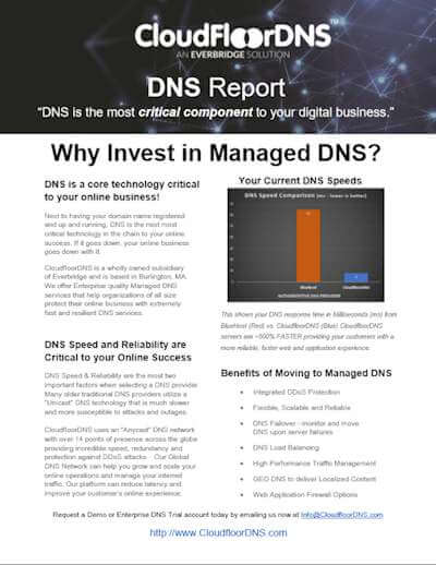 Free DNS Speed Report